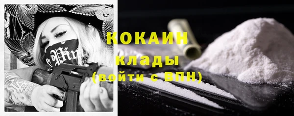 дживик Абинск