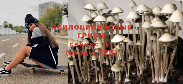 сатива Алексеевка